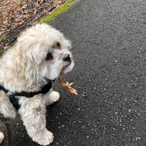 Meet your Posher, Elene